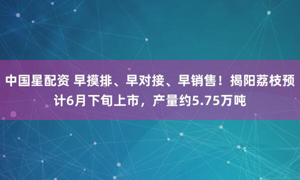 中国星配资 早摸排、早对接、早销售！揭阳荔枝预计6月下旬上市，产量约5.75万吨