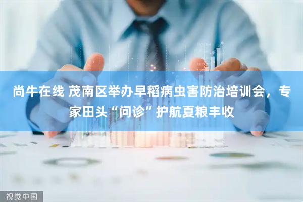 尚牛在线 茂南区举办早稻病虫害防治培训会，专家田头“问诊”护航夏粮丰收